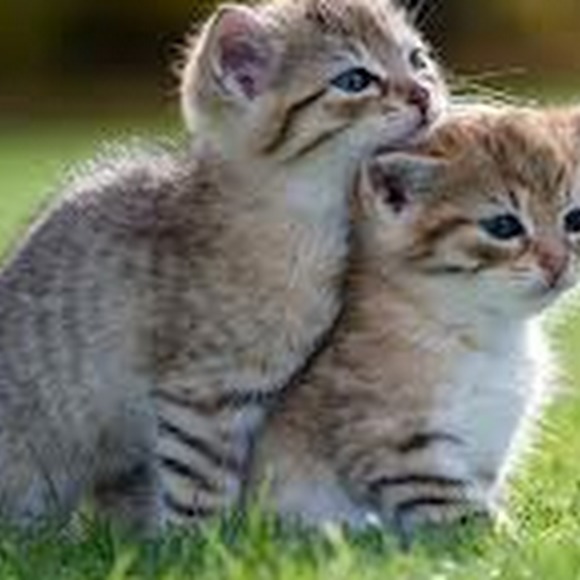 Meet your Posher, Doubidson - Picture 1 of 1